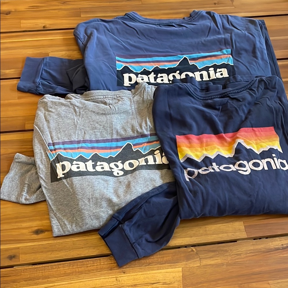 Patagonia Graphic T-Shirts Set of 3, Size L READ DESCRIPTION Organic Cotton